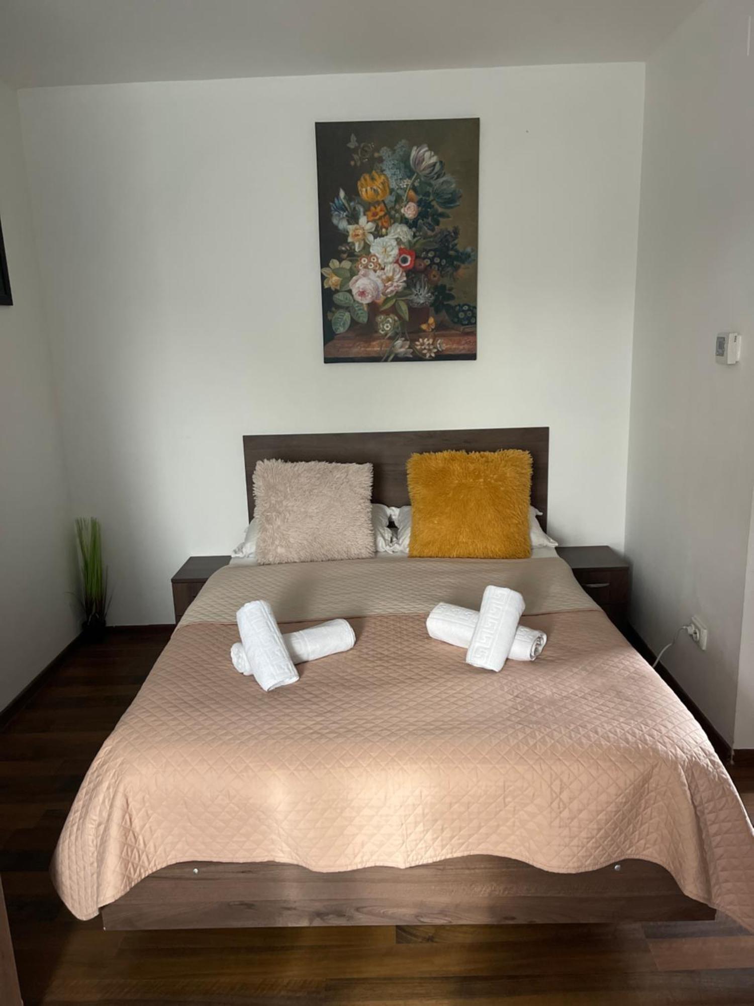 Orange House Apartment ทิมิชัวรา ภายนอก รูปภาพ