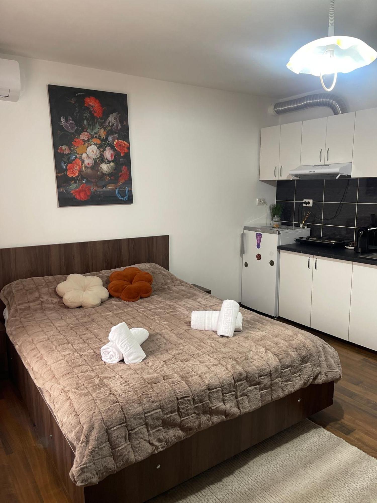 Orange House Apartment ทิมิชัวรา ภายนอก รูปภาพ