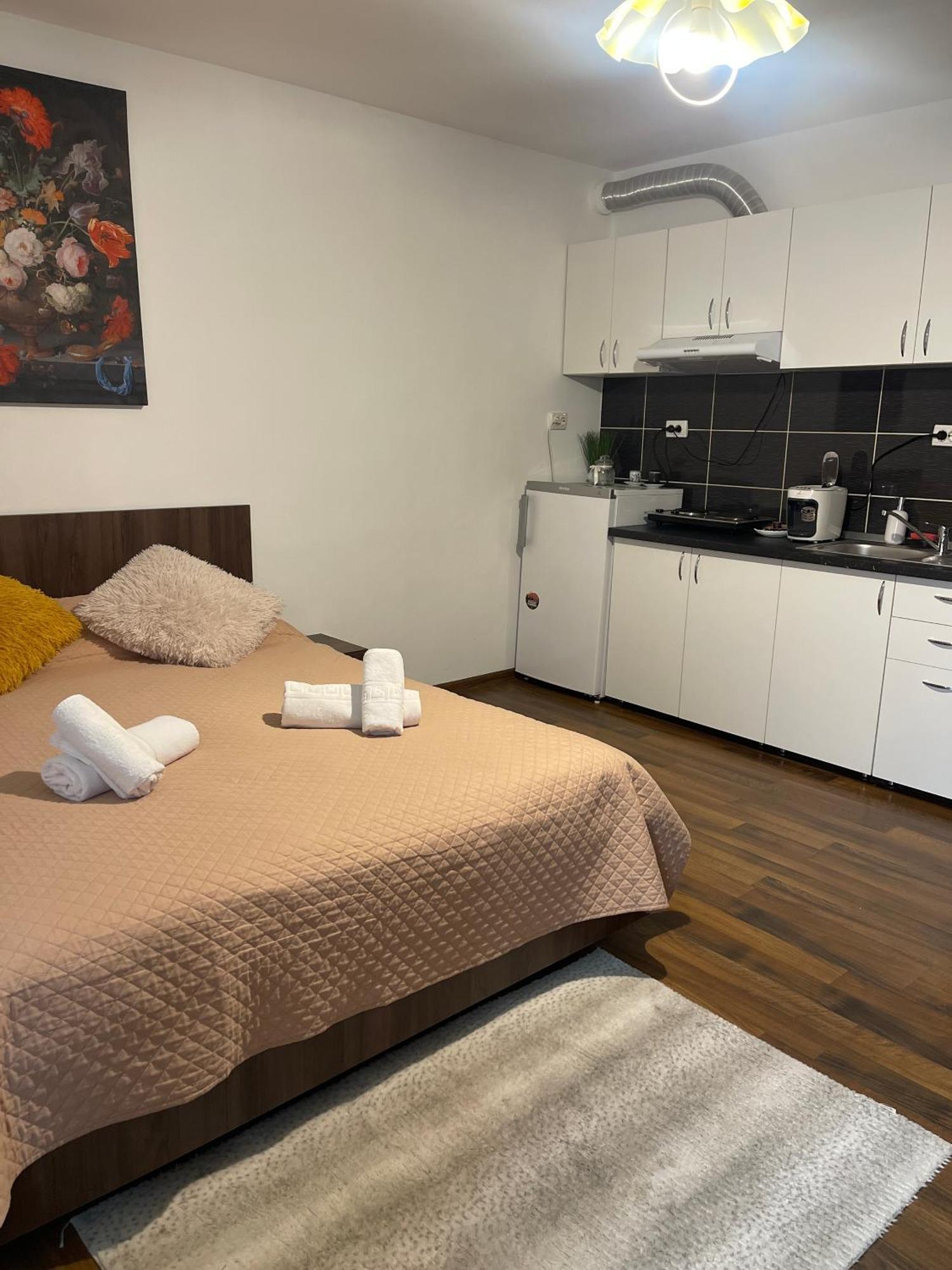 Orange House Apartment ทิมิชัวรา ภายนอก รูปภาพ
